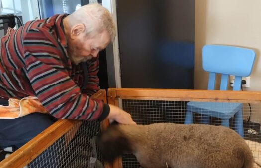 Zvěřinec ze statku v SeniorCentru Štěrboholy
